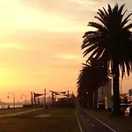 Albert Park Magnificence Position Perfect Mlane