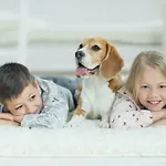 Boutique Stays - Elwood Hideaway