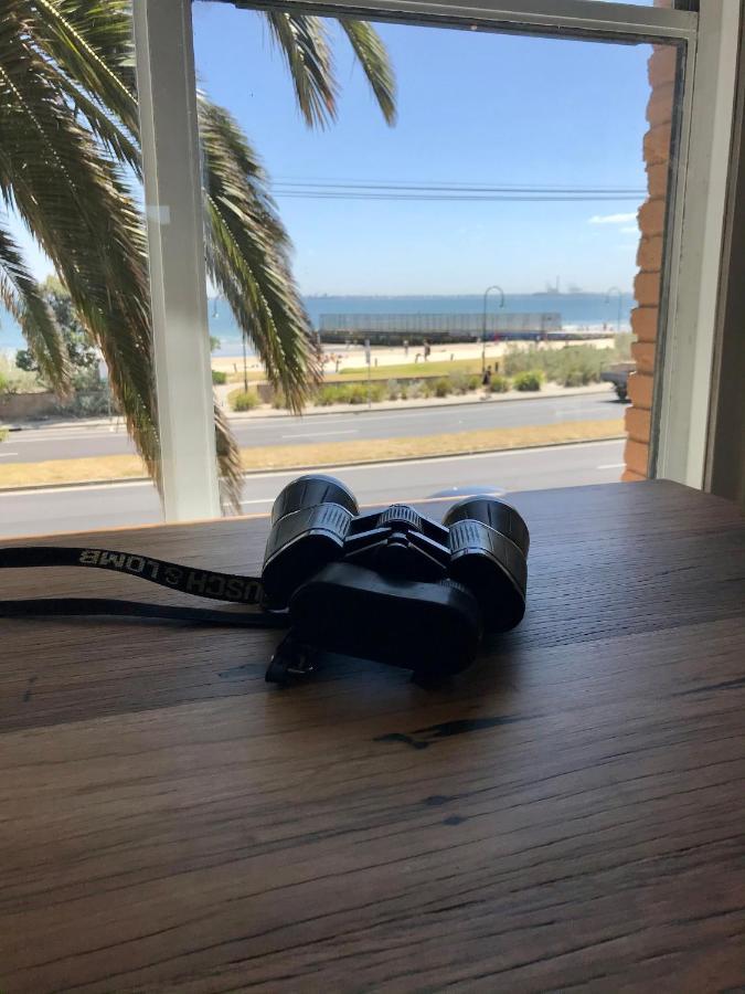 Beach Front Beauty Apartment