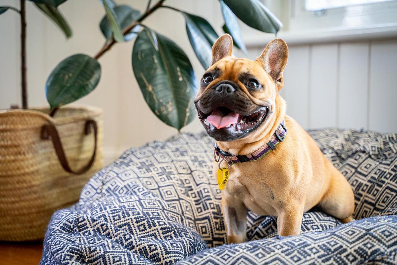 Boutique Stays - Roxys Place