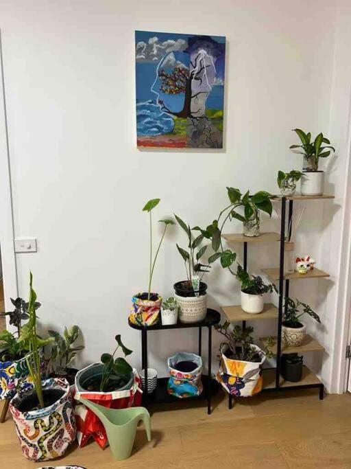 Apartment “urban Oasis ” Emporium ,free Parking Melbourne