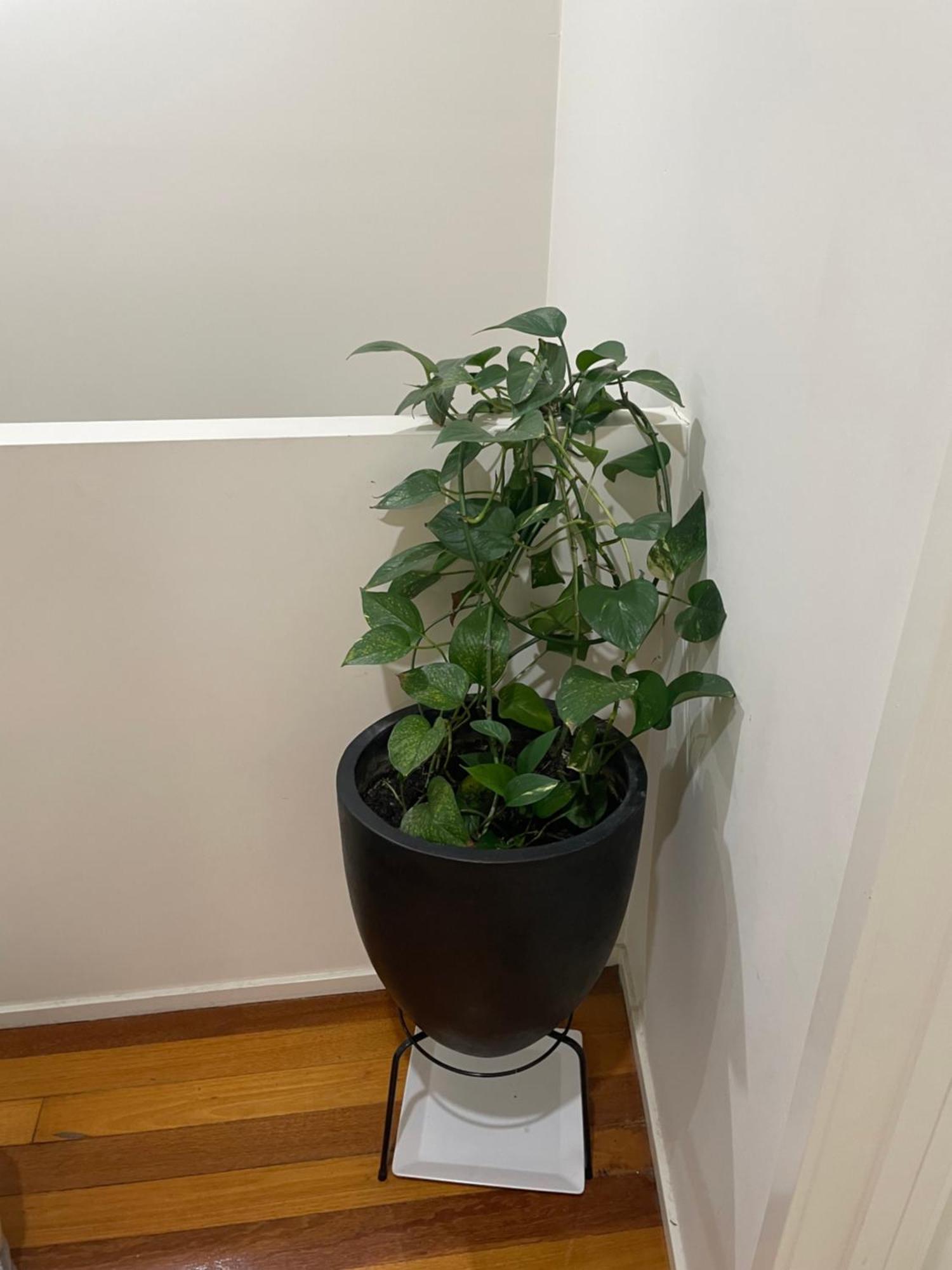 Apartment Convenience & Luxury