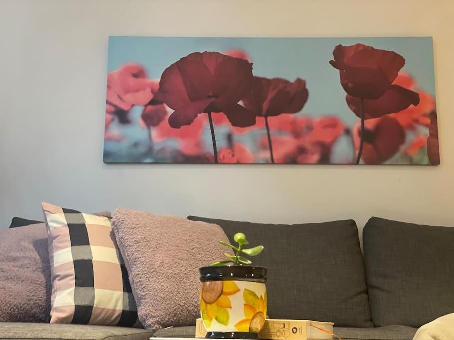 Modern 1bd ; Pool, Gym, Secure Underground Carpark Apartment *