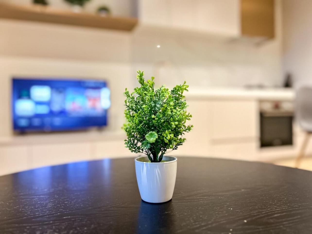 Beautiful City View 2br1ba In Cbdwifi *