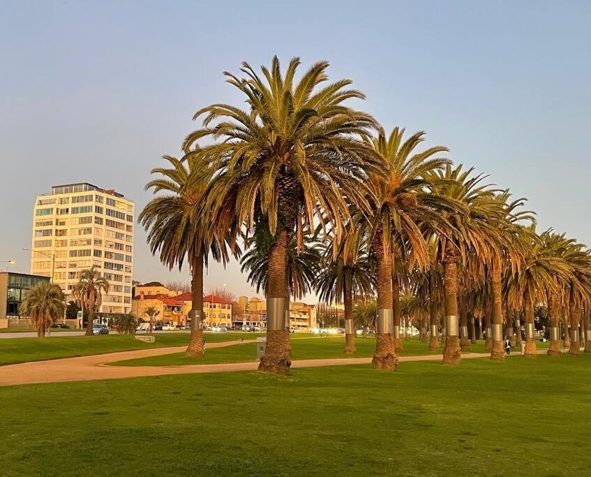 Sensational St Kilda At Sunset Tower Melbourne