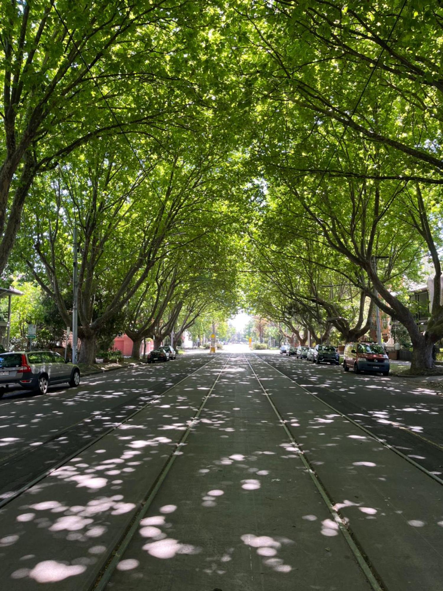 Apartment St Kilda Close To Melbourne