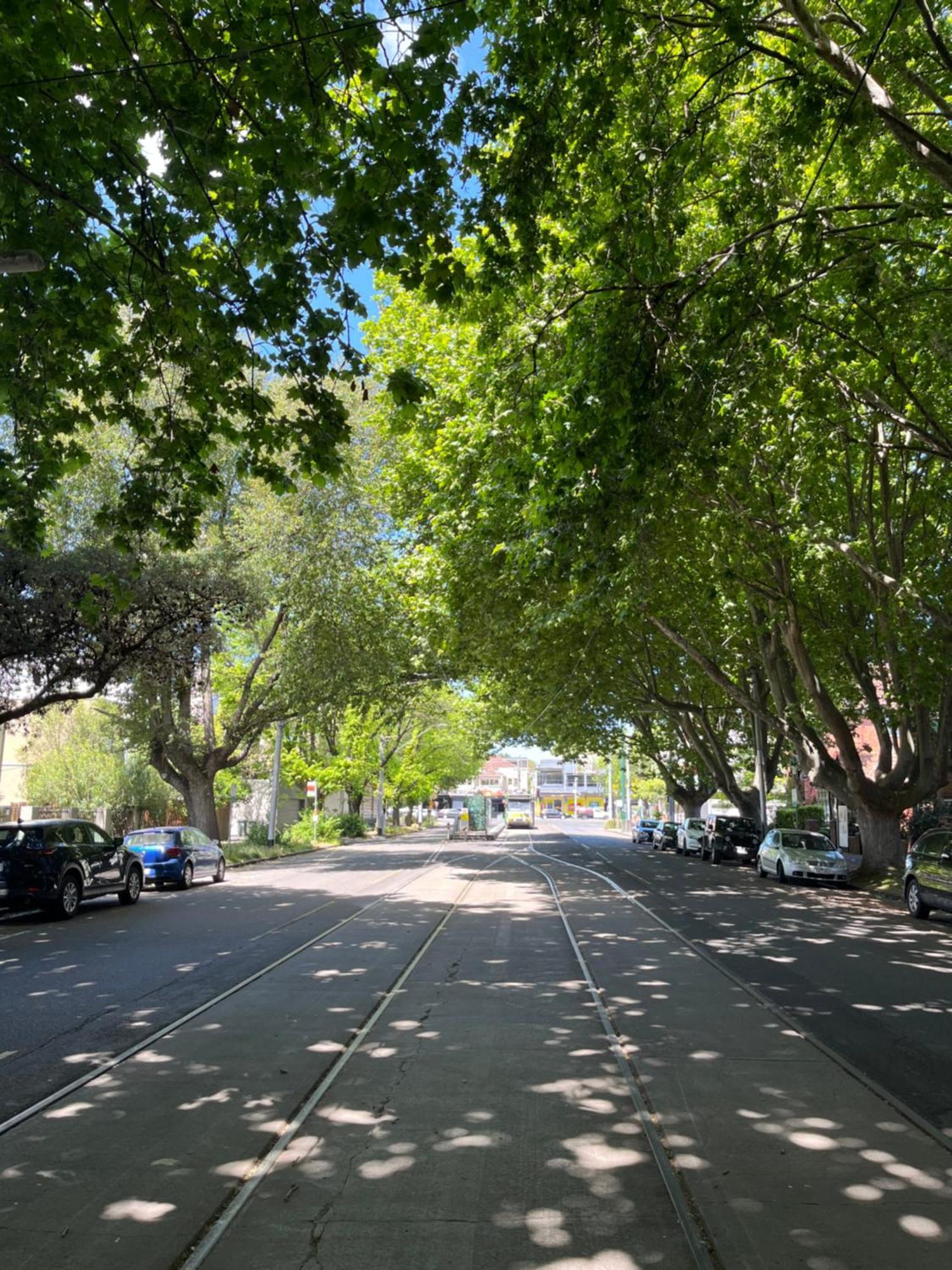 Apartment St Kilda Close To *