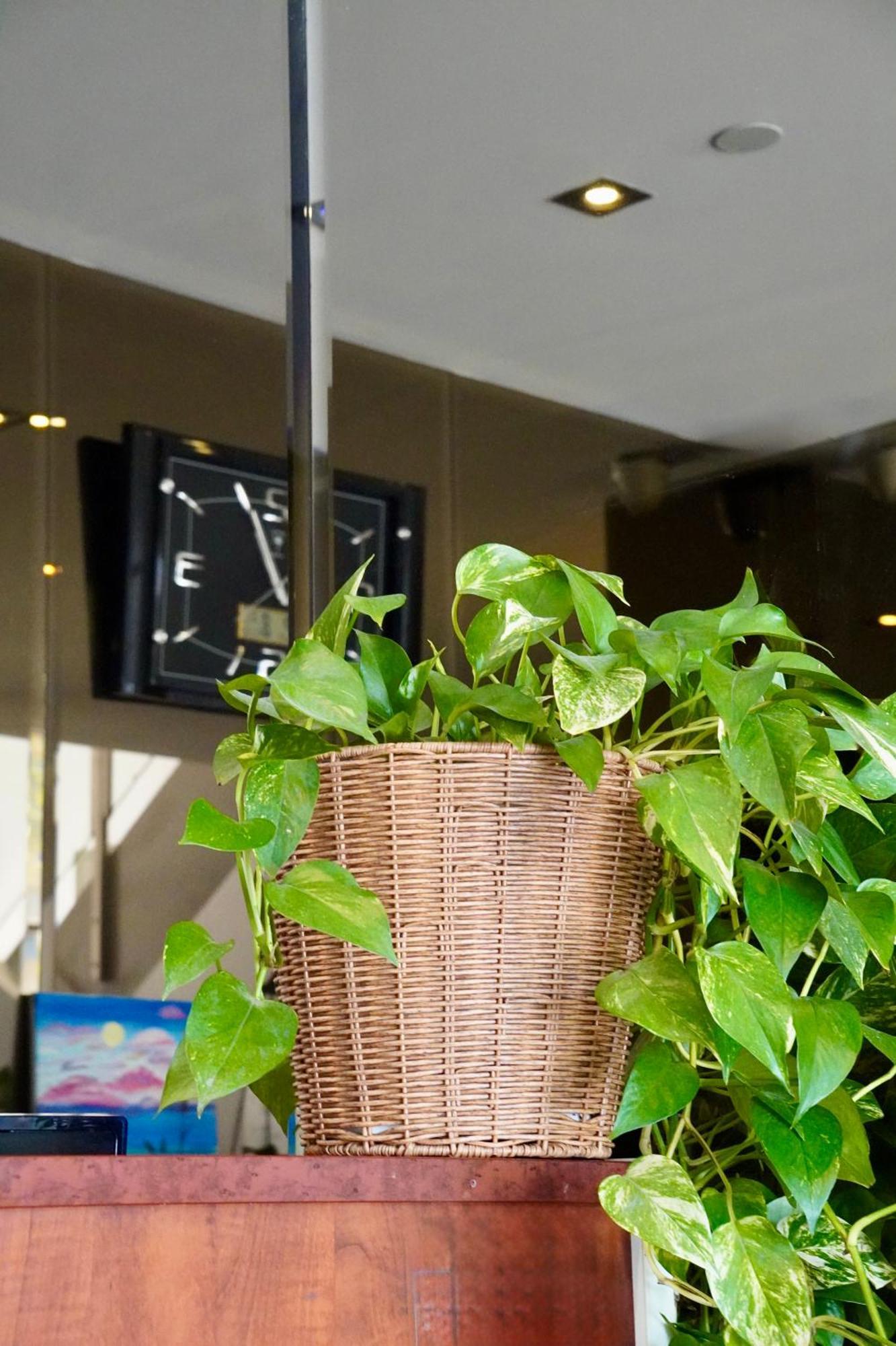 Melbourne Vivo Aparthotel
