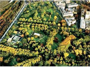 Birches Serviced 3*