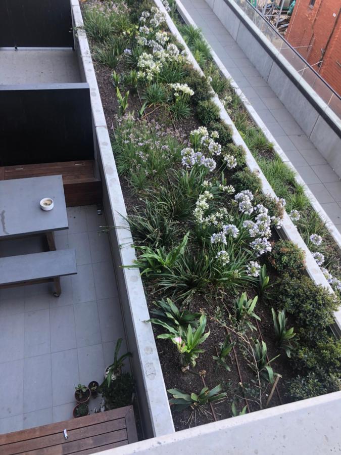 Apartment Fringe Apt市中心的心灵港湾 *
