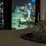 Metropolitan Muse