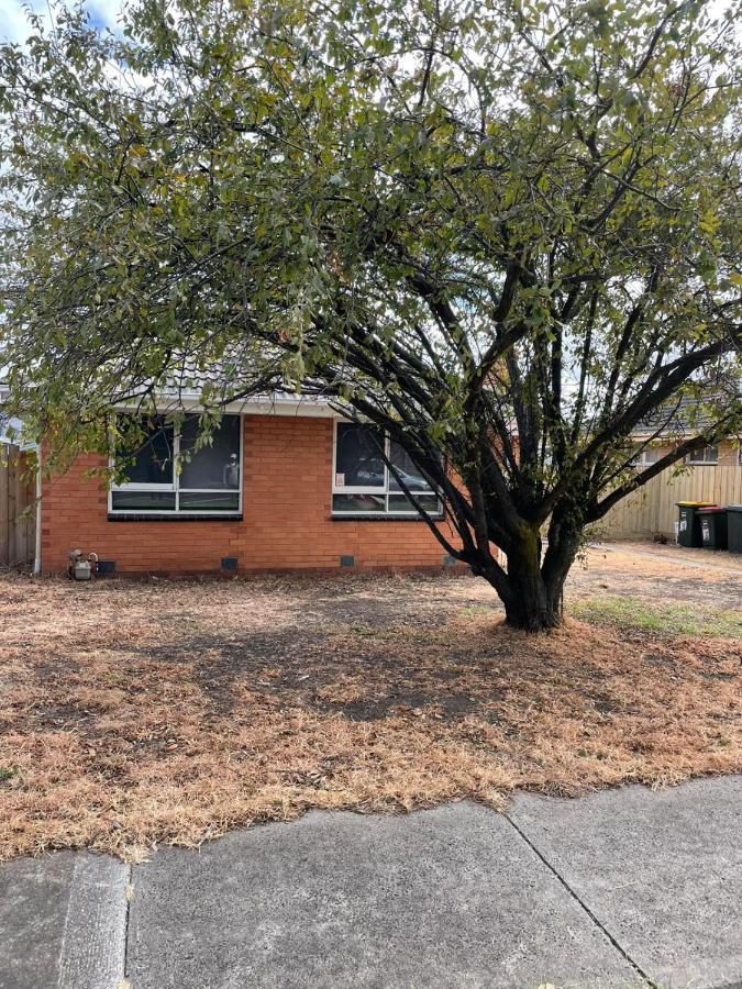 3 Bedroom Family House Close To Airport Casa de férias Melbourne
