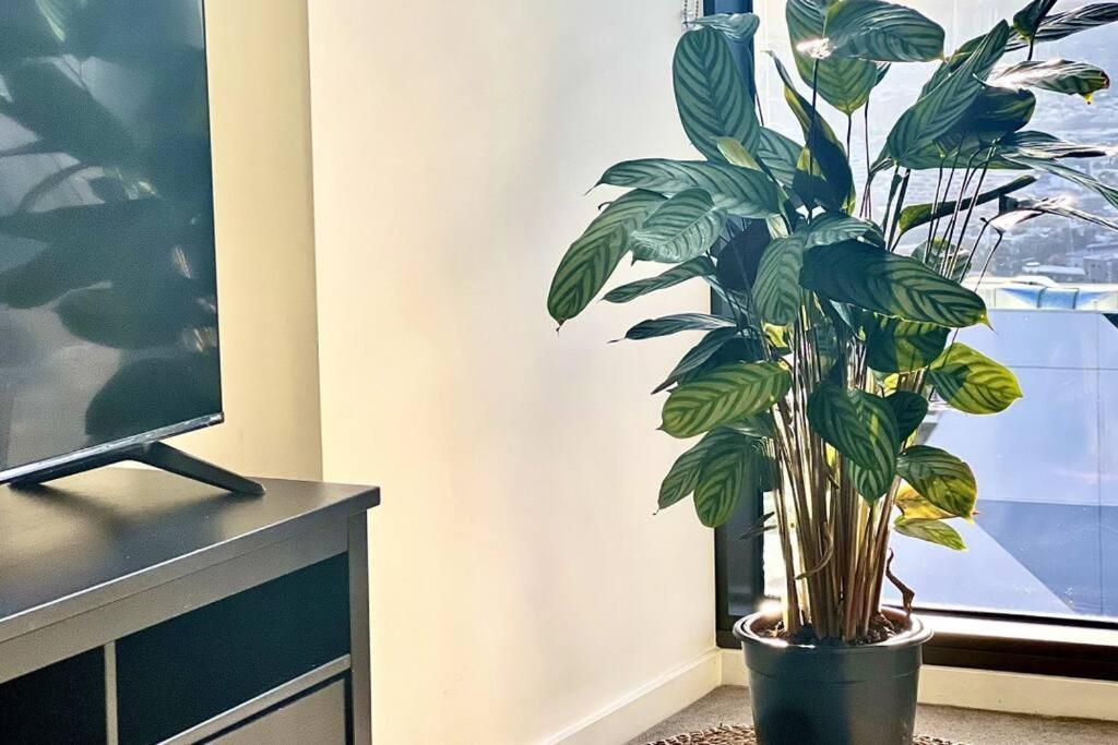Apartamento Luxurious 2 Bed With Captivating View Melbourne