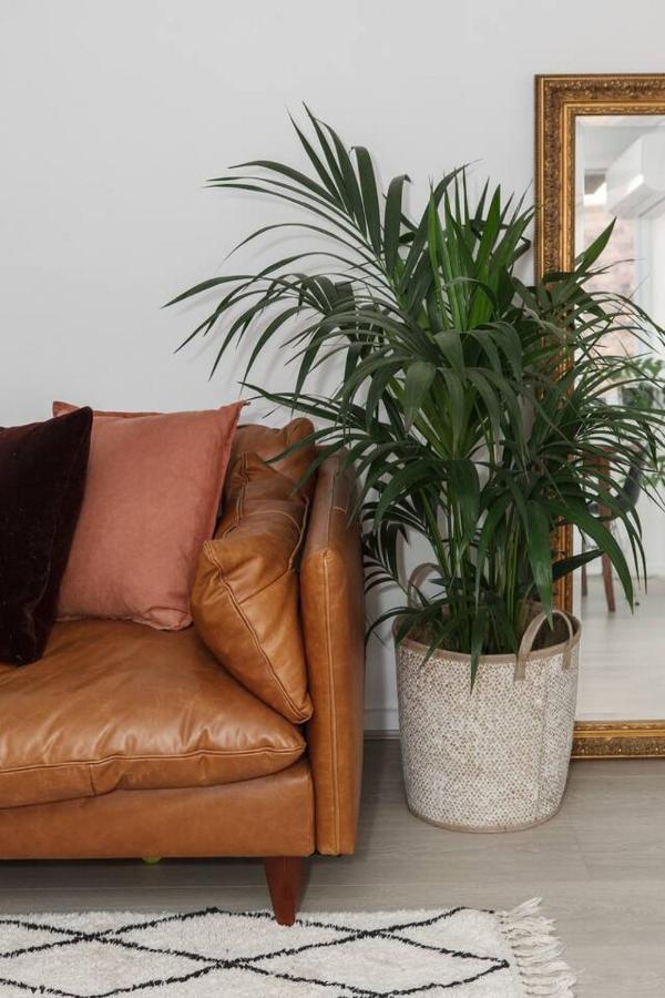 Dalgety Downtown - A Sunny St Kilda Hideaway Apartment *