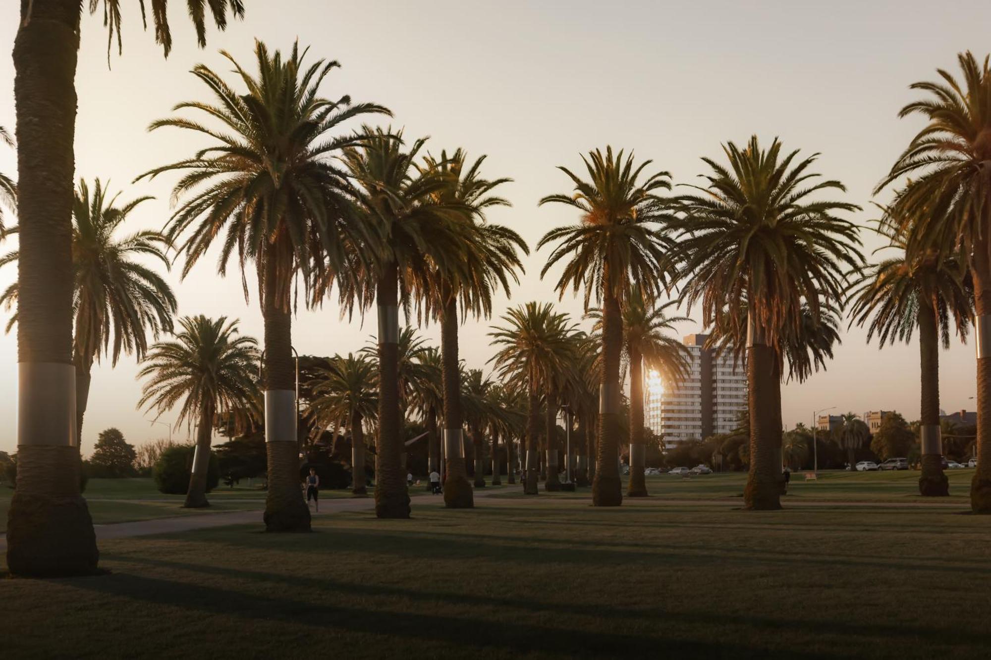 Mac St Kilda Blessington St By Collection Apartment *