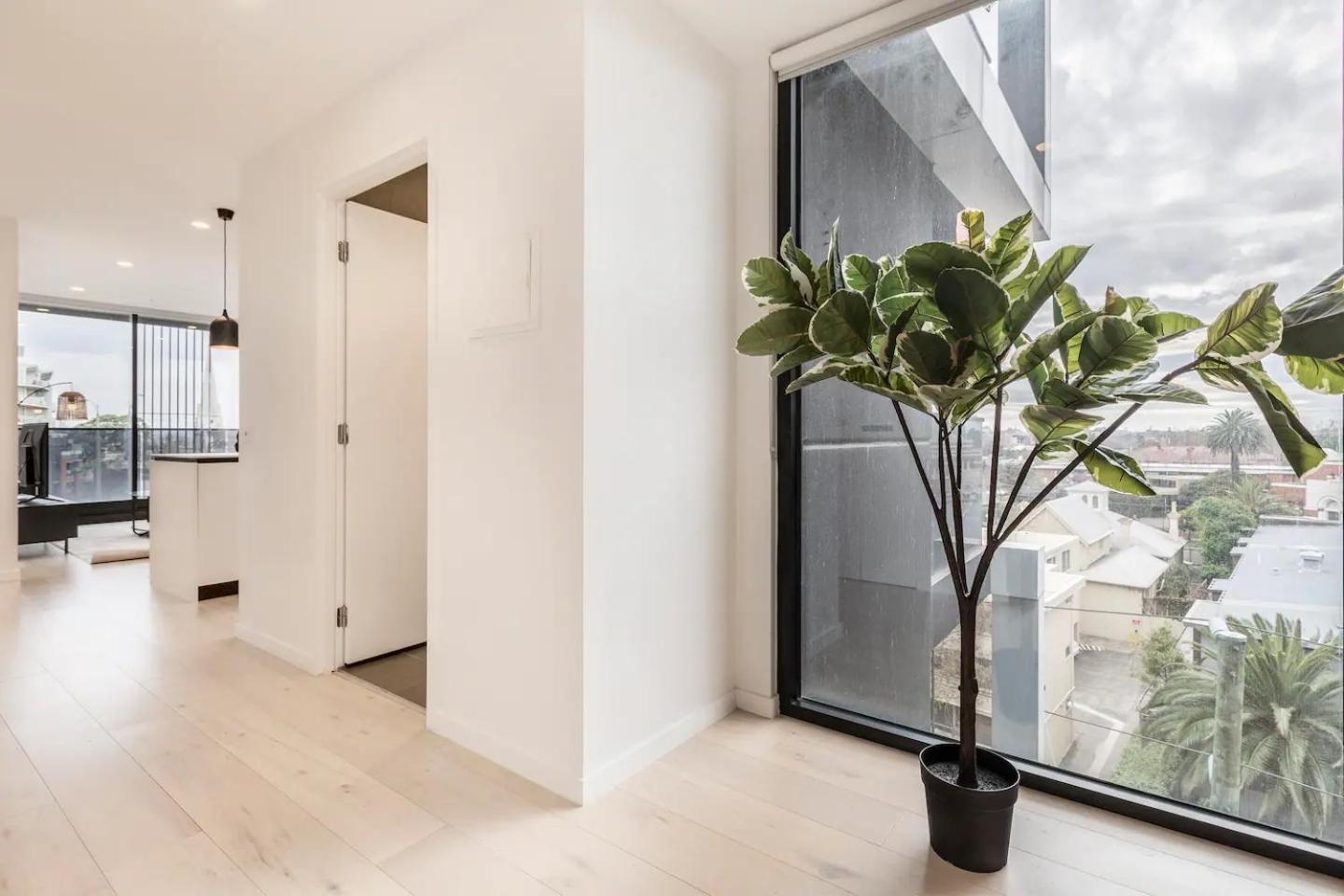 Sunlit & Sleek In Lively St Kilda Apartment Melbourne