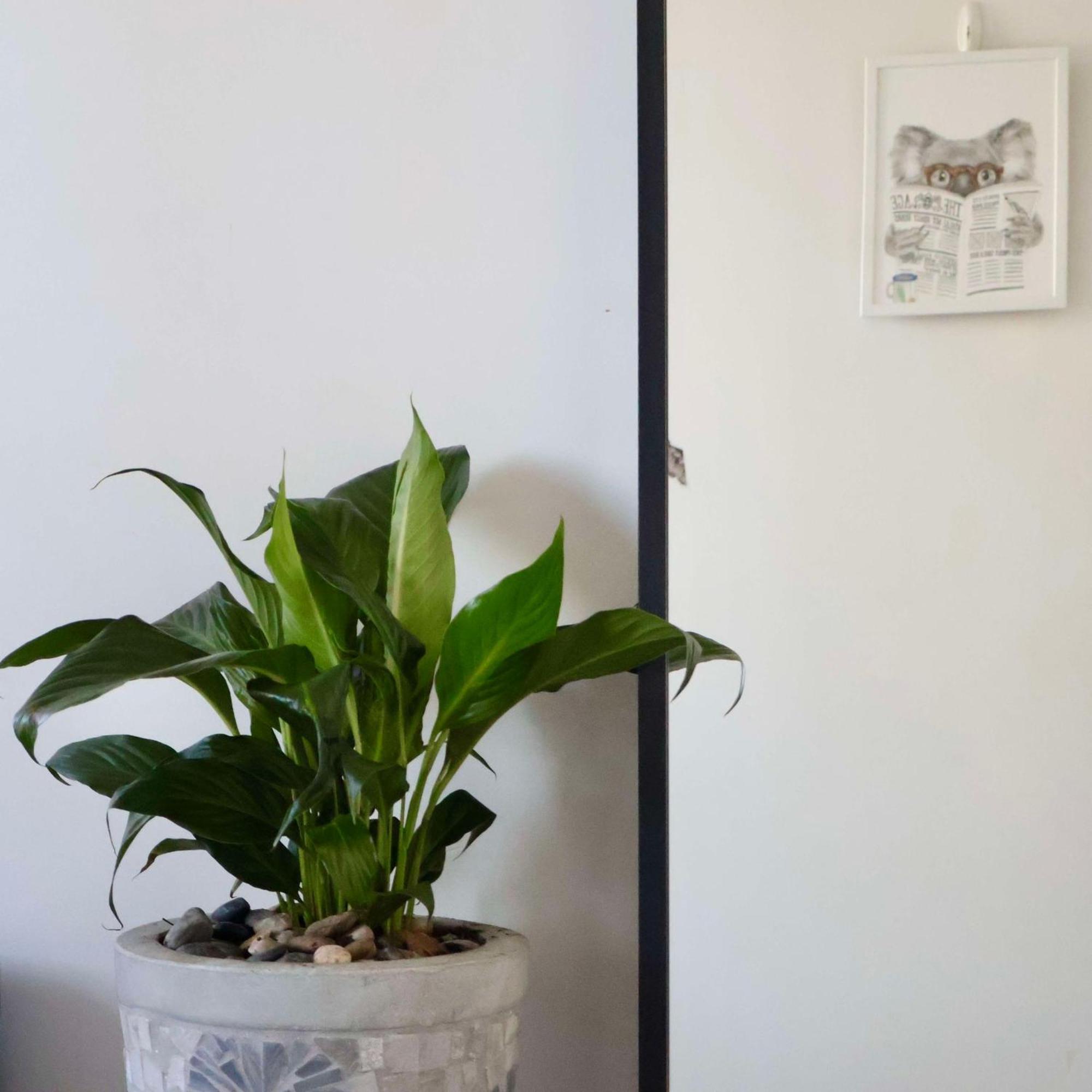 Apartamento Entire 1 Bedroom Southbank - Gym Pool Sauna 1 Step To Crown Casino