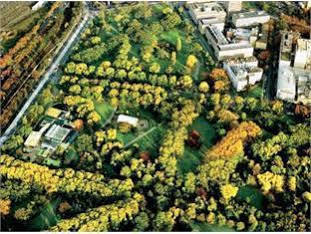 Birches Townhouse Apartamento *