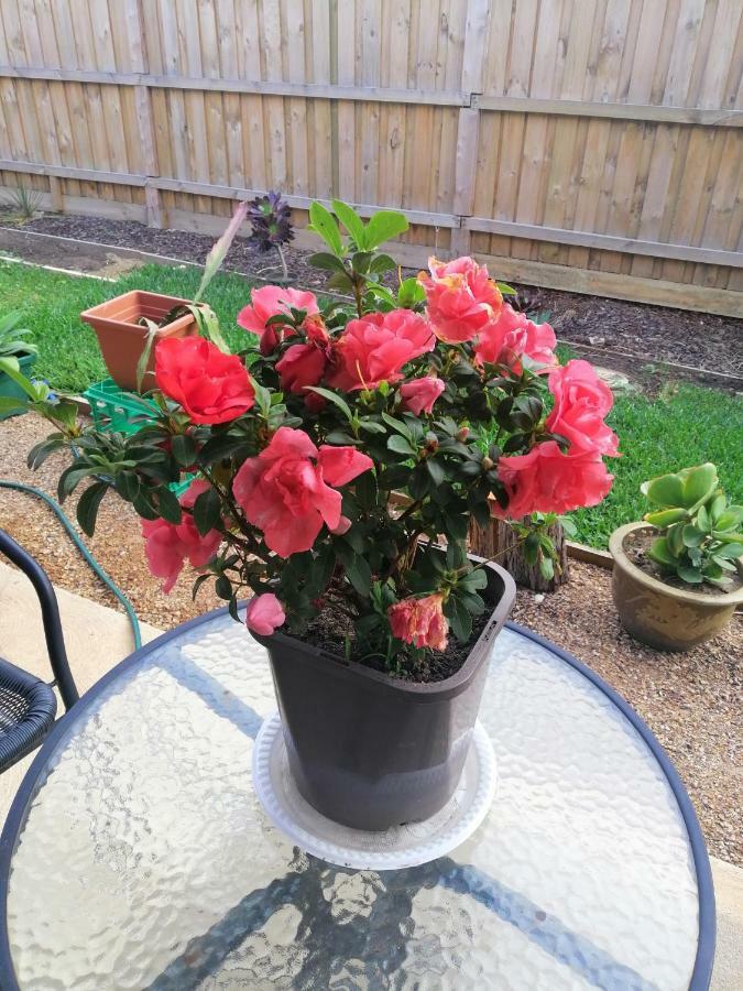 Homestay Lakes Warm House Melbourne