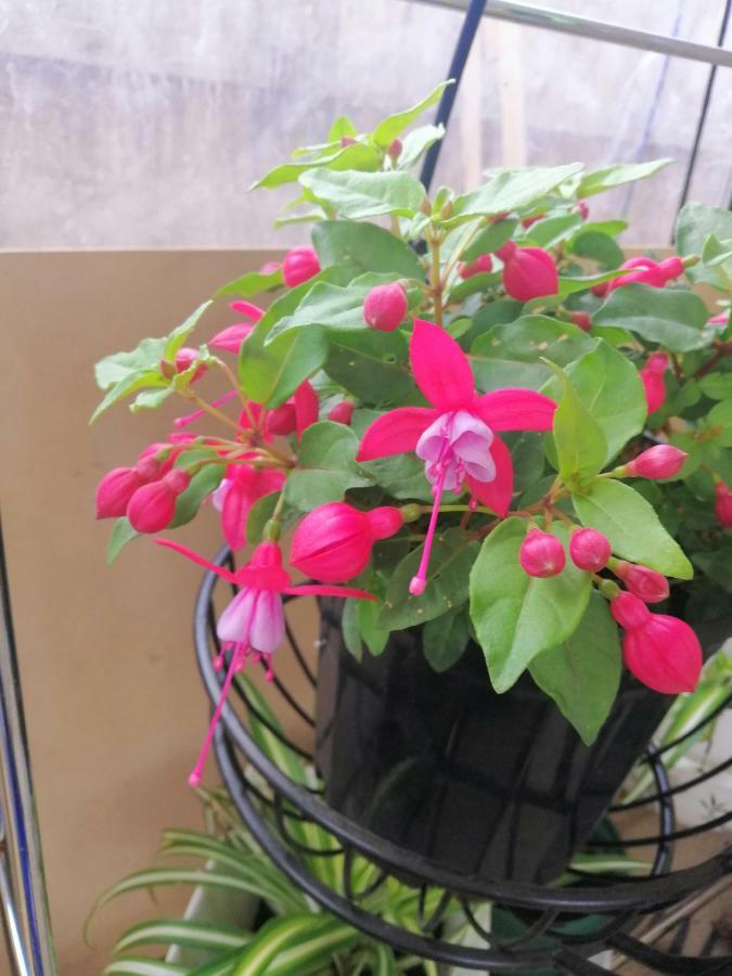 Lakes Warm House Homestay