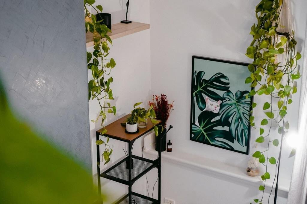 Historic & Designer Loft Style Apt+parking Pool Apartment