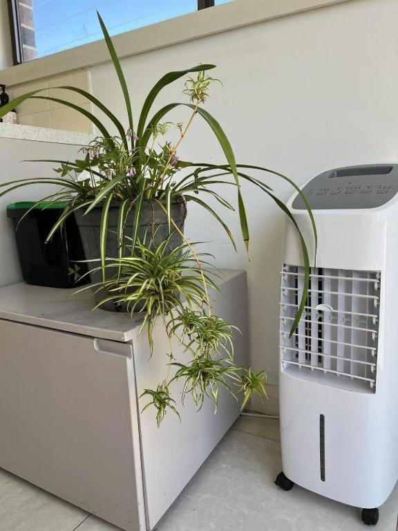 Lovely Nest Guest house *